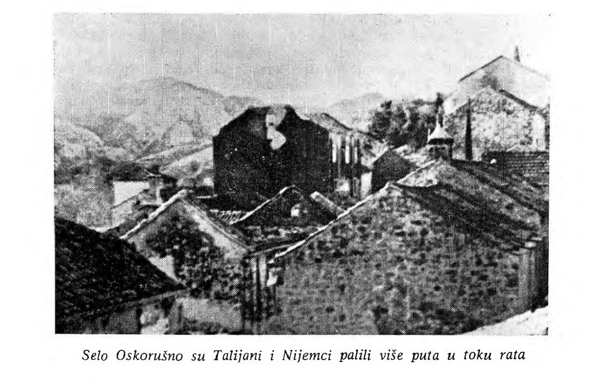 oskorusno.png